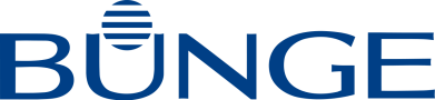BUNGEE LOGO